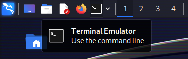 Terminal Icon